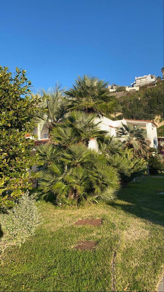 Forio di Ischia Casa Margherita Ischia מראה חיצוני תמונה